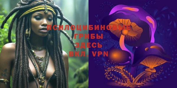 МДМА Белокуриха