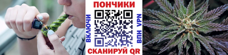 Канабис семена  Купить где  Протвино 